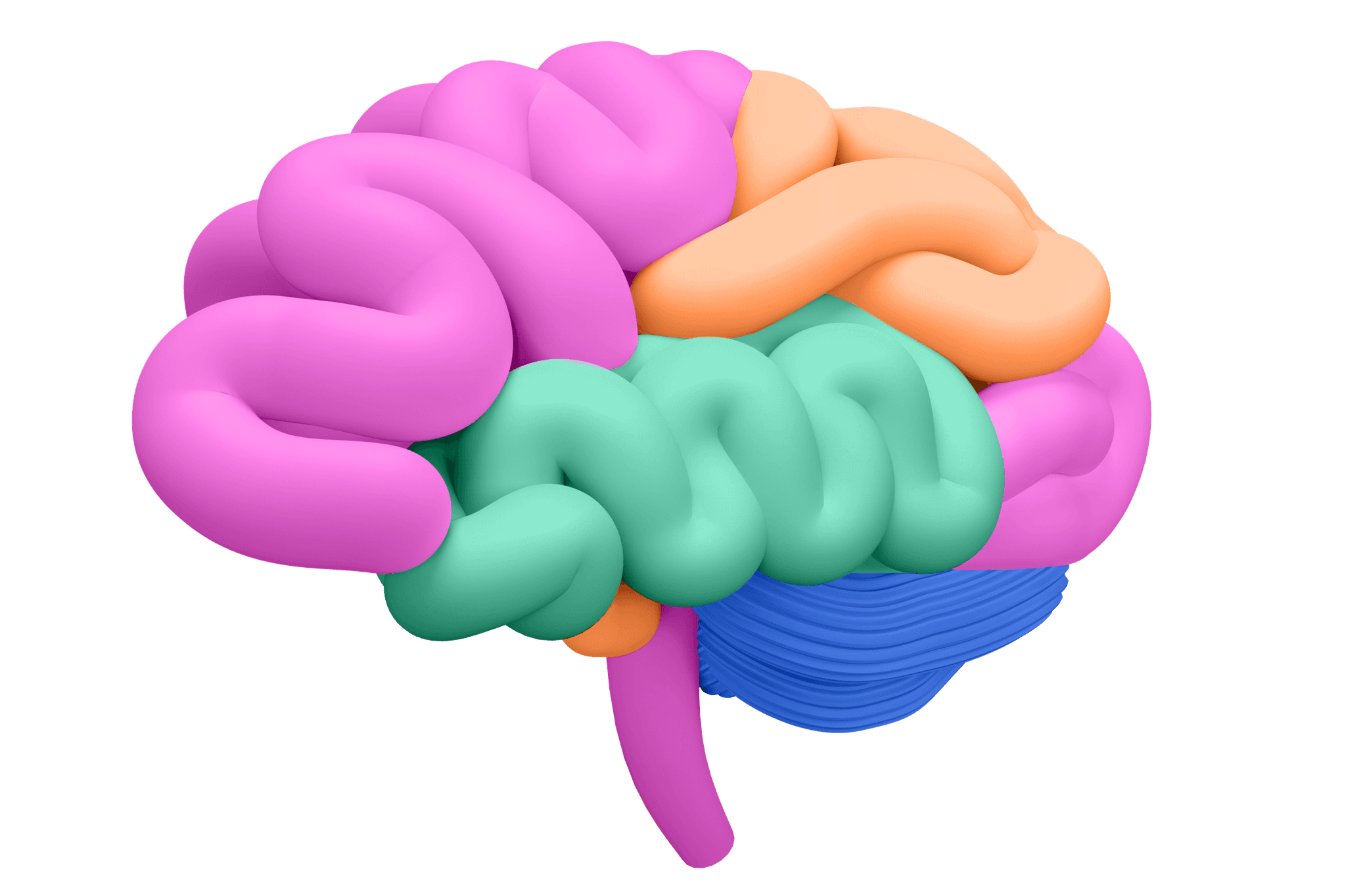 MindUP brain — emotional center of learning